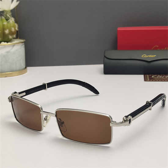 Cartier Sunglass AA 131